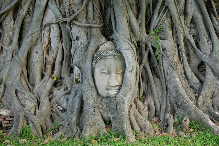 Wat Maha That w Ayutthaya